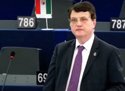 Ukip MEP wants to end immigration from Islamic countries