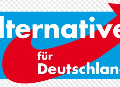 Anti-immigrant AfD says Muslims not welcome in Germany